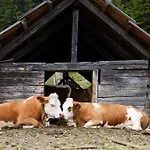 Der Ronacherfels Weissensee