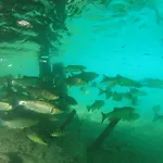 Der Ronacherfels Weissensee