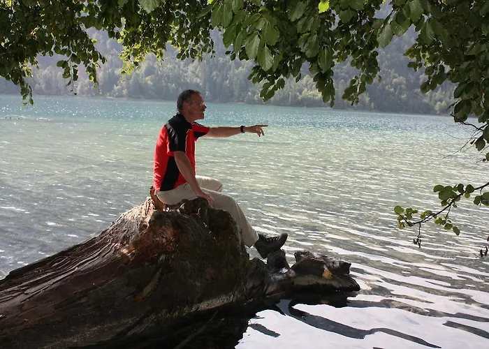 Διαμέρισμα Der Ronacherfels *