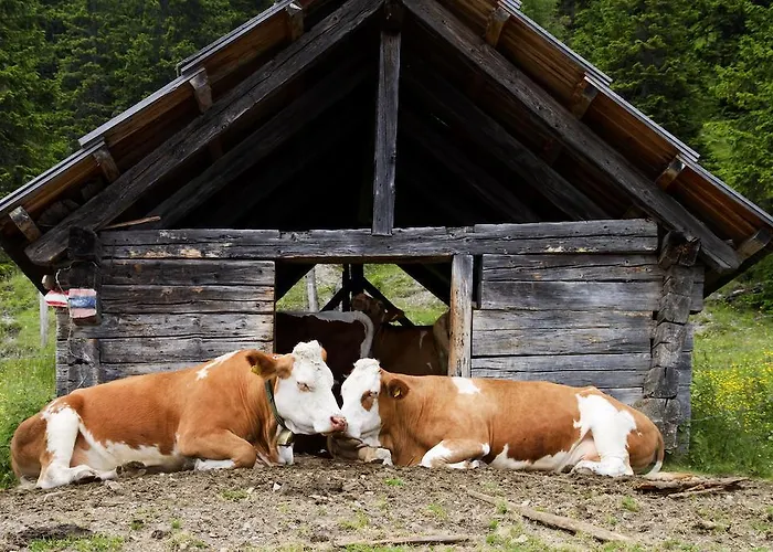 Der Ronacherfels ويسنسي