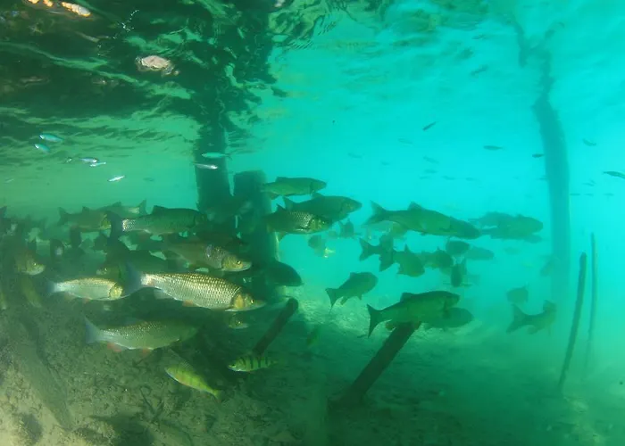 Der Ronacherfels Weissensee